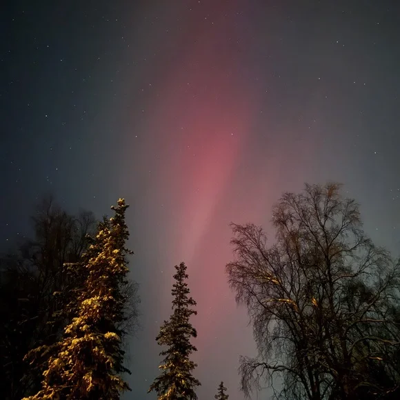 CUSTOM Made To Order Coptic Bound Art Journal. Cloth covered journal. - Picture 8 of 8